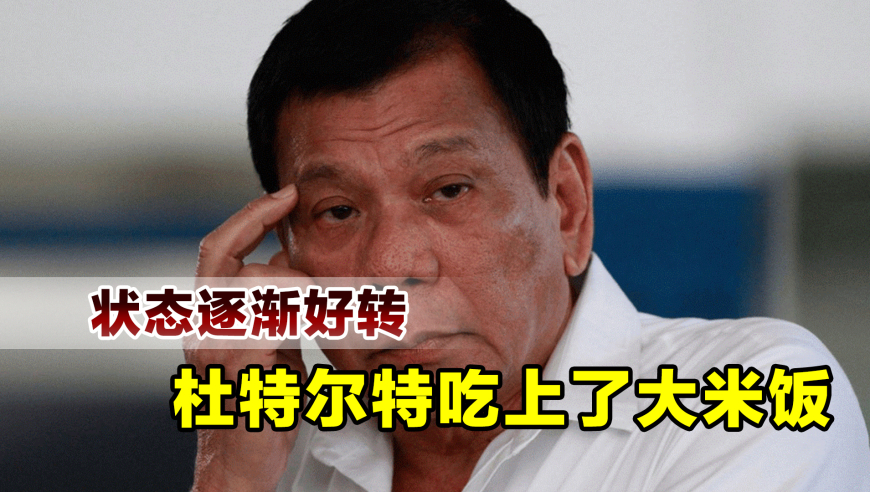 小鱼儿玄机2站最新版,惠英红 影后就是影后,整体规划执行讲解_探索版V1.1